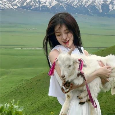 说得好，小猫咪！